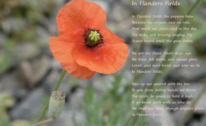 May 3, 1915 The Red Poppy